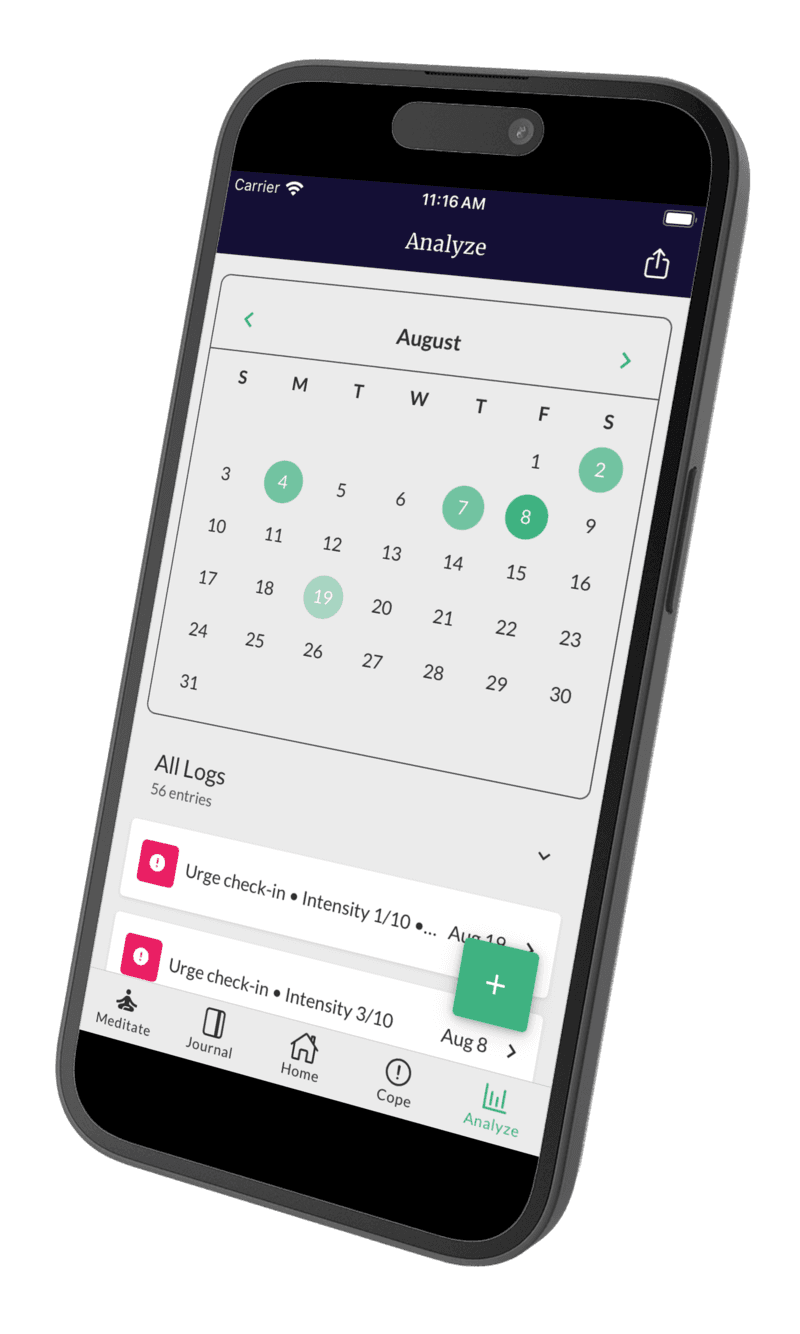 Phone mockup showing app interface